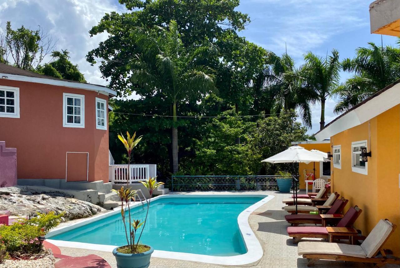 Bed & Breakfast The Blue Orchid Montego Bay