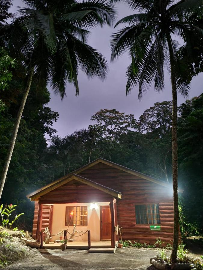 Ecoscape Jamaica - Lavish 1-br By The River Lodge Saint Annʼs Bay