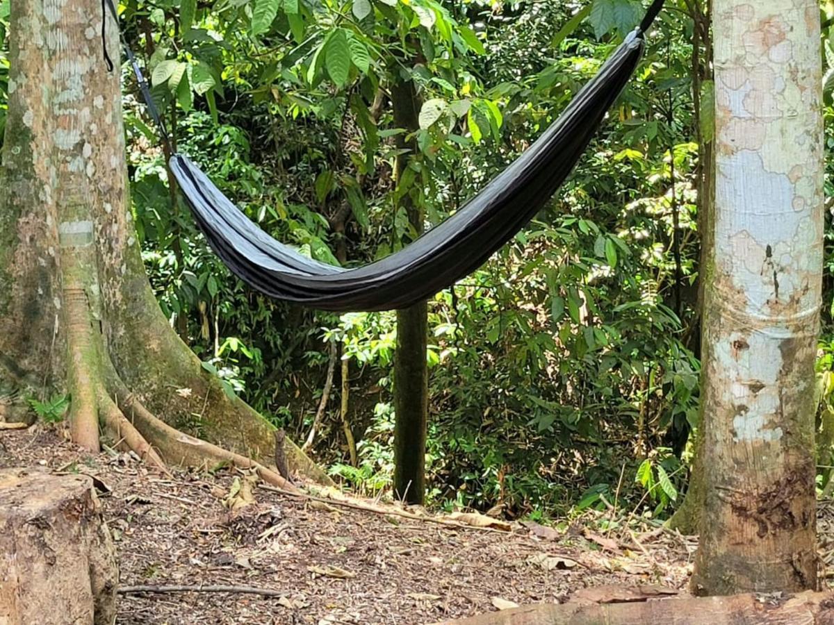 Ecoscape Jamaica - Lavish 1-br By The River * Saint Annʼs Bay