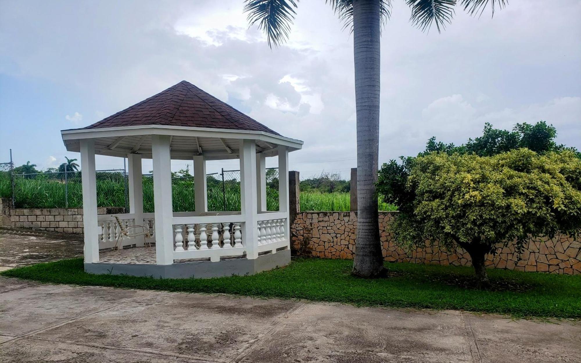 Apartment Comfy Havens Montego Bay