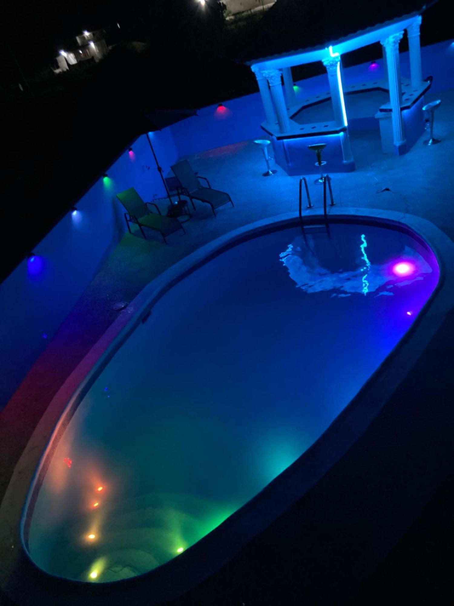 Blue Flamingo * Montego Bay