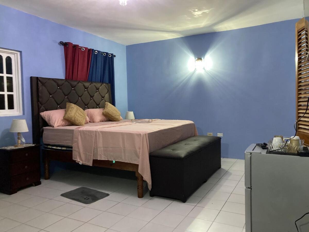 Blue Flamingo Villa Montego Bay