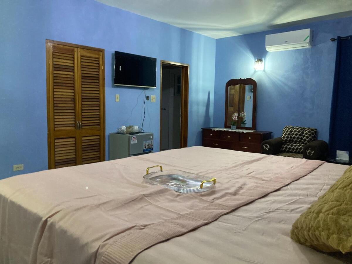 Villa Blue Flamingo