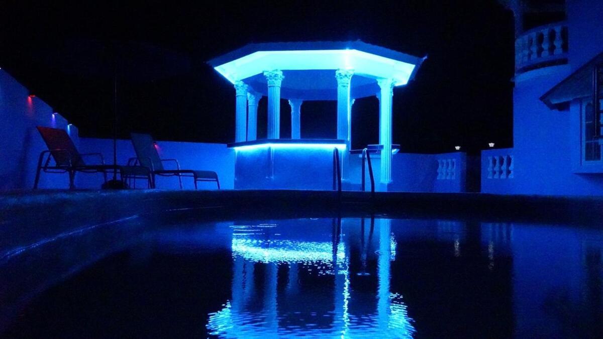 Blue Flamingo * Montego Bay