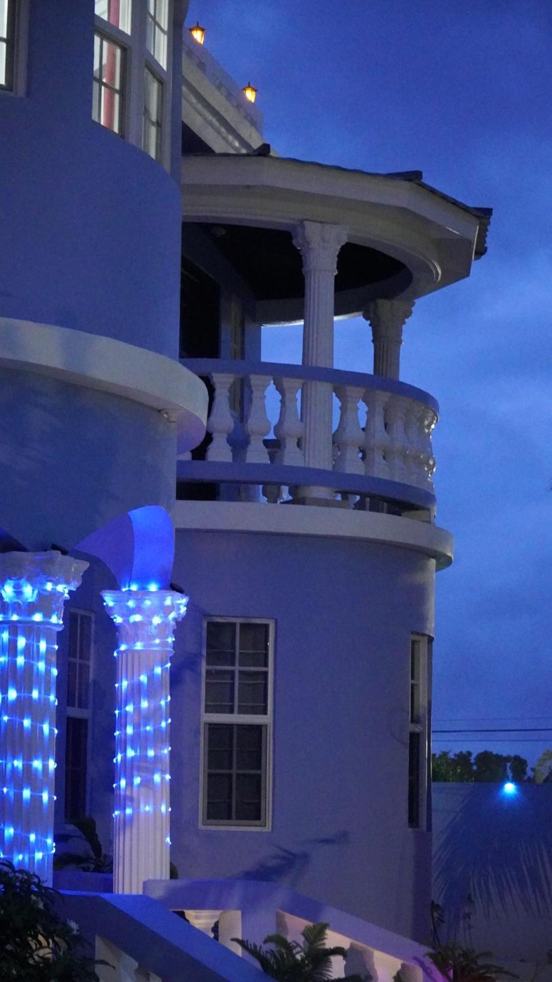 Blue Flamingo * Montego Bay