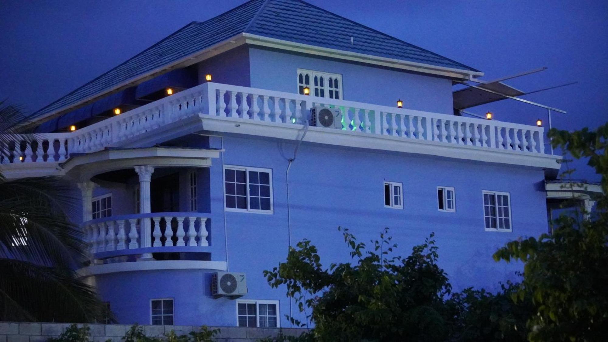 Villa Blue Flamingo