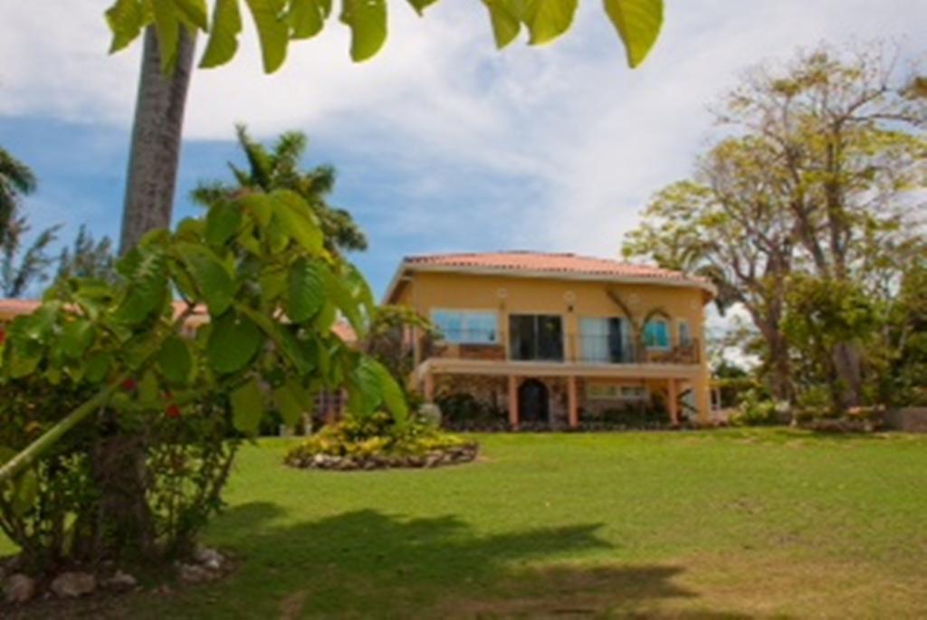 Apartamento Bird Eye View
