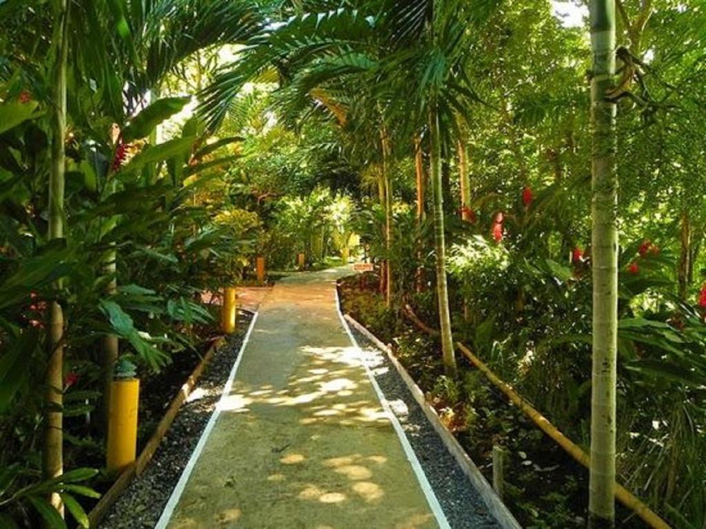 Bay View Eco Resort&spa