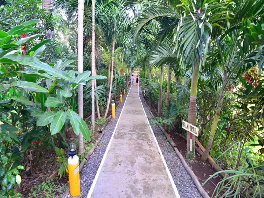 Hotel Bay View Eco Resort&spa Port Antonio