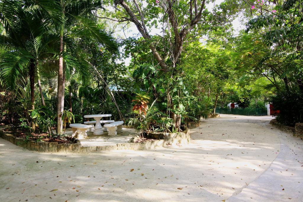 Pensión Tingalaya's Retreat