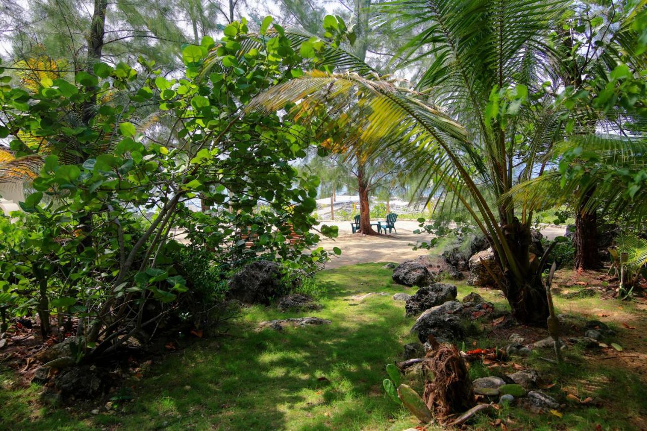 Pensión Tingalaya's Retreat 3*