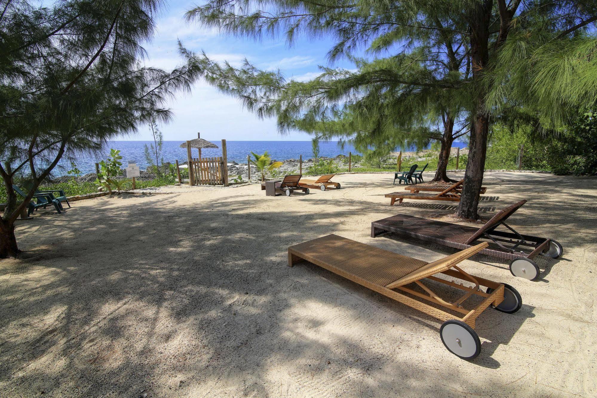 Pensión Tingalaya's Retreat Negril