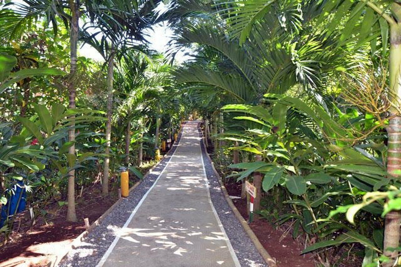 Bay View Eco Resort&spa